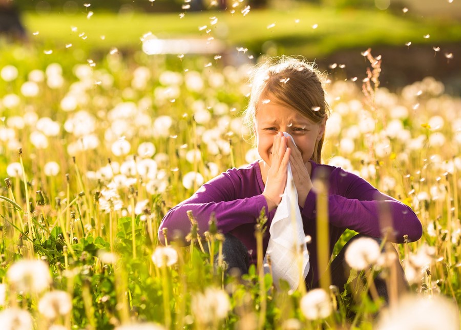 Itchy eyes? It’s Hayfever Season!