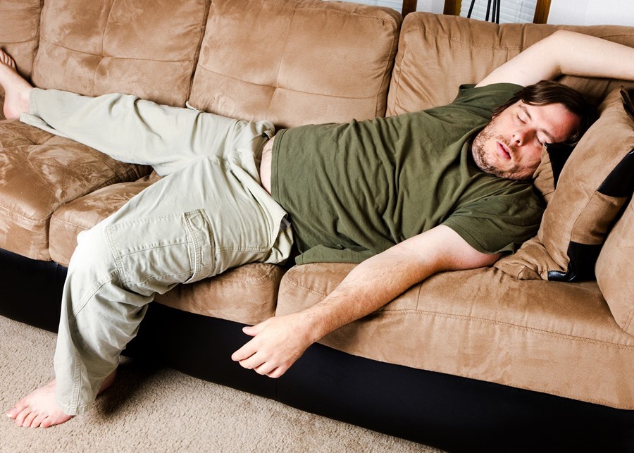 Feeling Lazy? The Foodstate Company