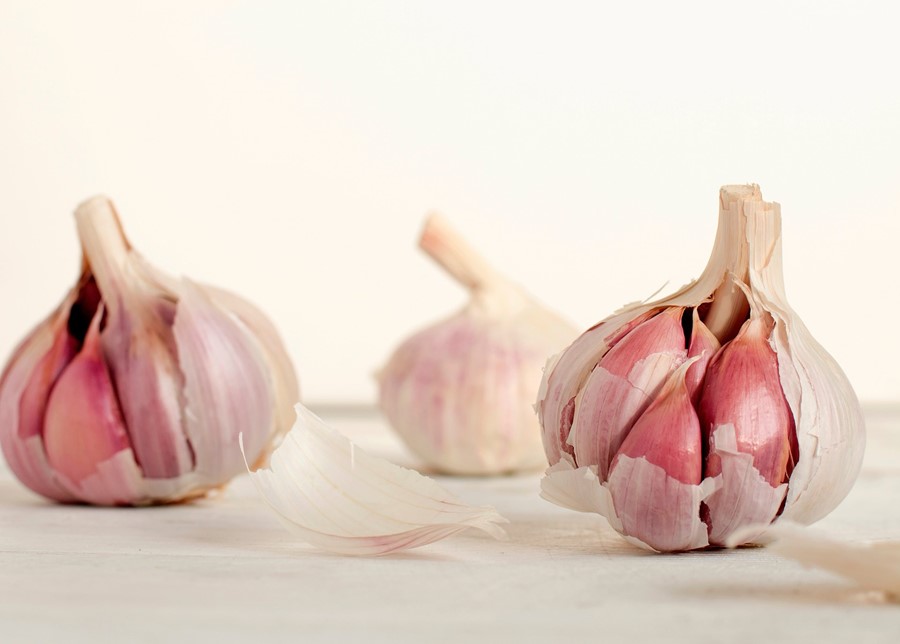 Garlic Is a True Super-Food And Great Support For Winter