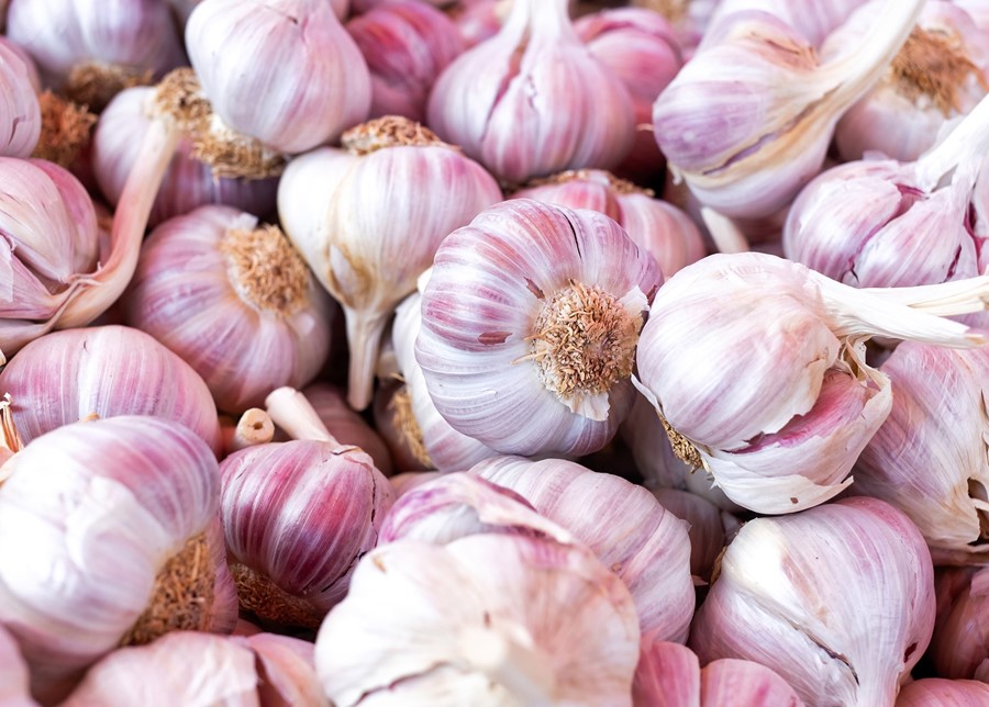 Garlic Is A True “Super-food”